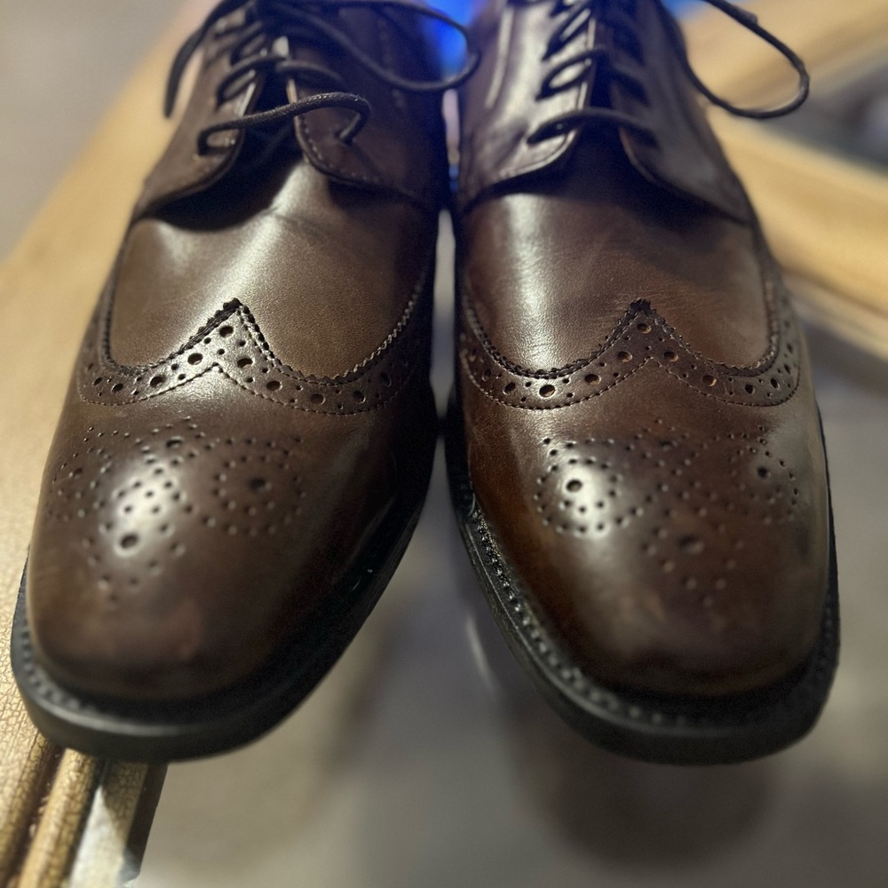 NWOB Rockport Wingtip Perforated Brogue Men's Brown Leather Oxfords 9.5W